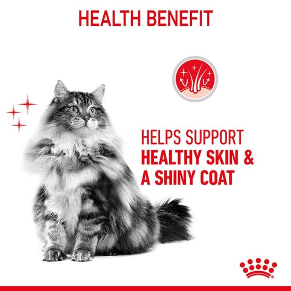 Care Hair & Skin Jelly Cat Food Pouch 85g x 12 - Image 6