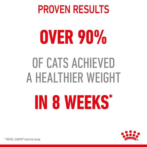 Care Ultra Light Jelly Cat Food Pouch 85g x 12 - Image 4