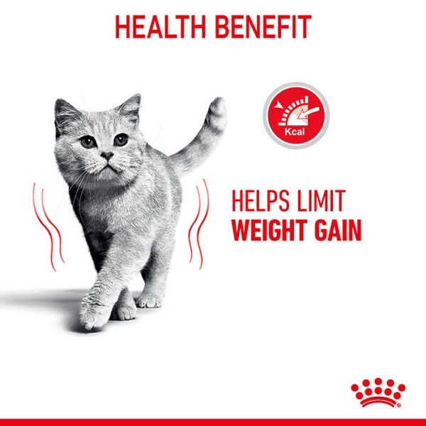 Care Ultra Light Jelly Cat Food Pouch 85g x 12 - Image 5