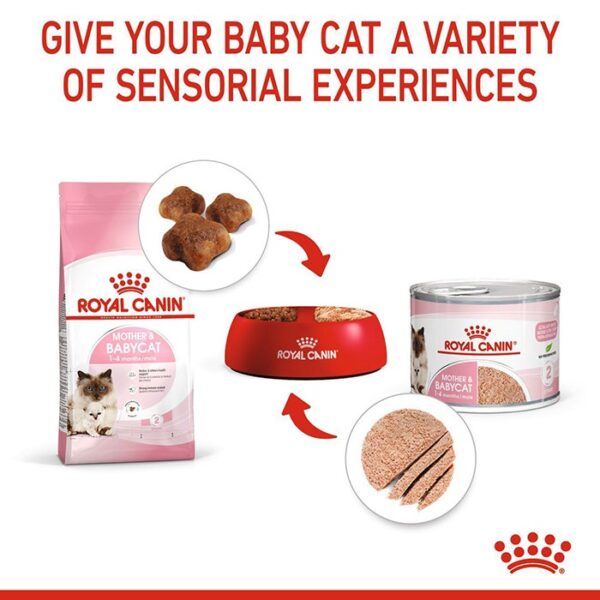 Babycat Instinctive Cat Food 195g x12 - Image 6