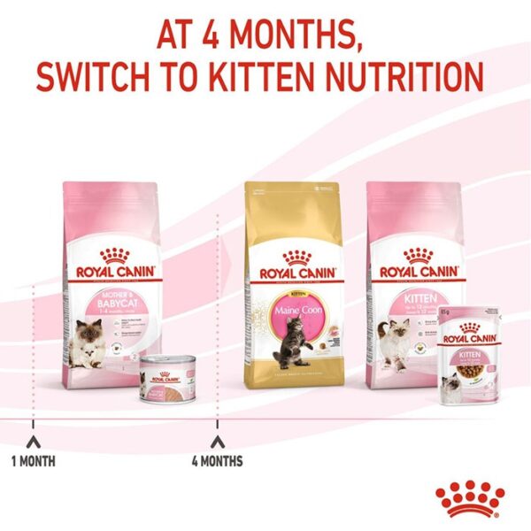Babycat Instinctive Cat Food 195g x12 - Image 9