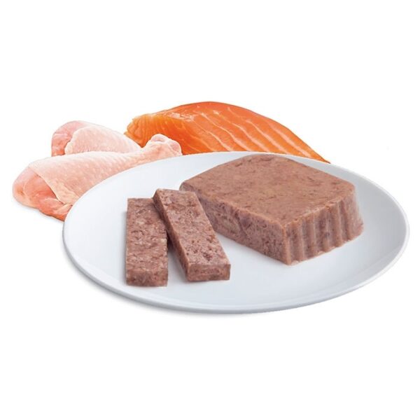 Adult Wet Cat Food Chicken & Salmon Medley 7x85g Trays - Image 3