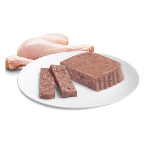 Adult Wet Cat Food with Succulent Turkey 7x85g Trays - Image 3