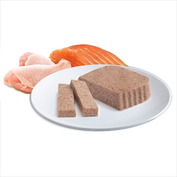 Kitten Wet Cat Food Chicken & Salmon Medley 7x85g Trays - Image 4