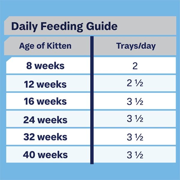 Kitten Wet Cat Food Tender Chicken Delight 7x85g Trays - Image 10