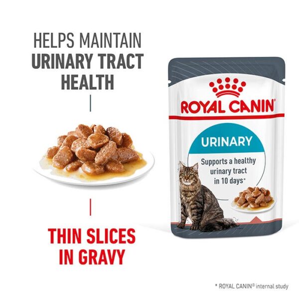 Care Urinary Gravy Adult Cat Food Pouch 85g x 12 - Image 2