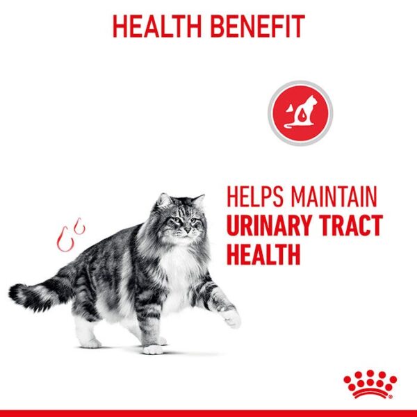Care Urinary Gravy Adult Cat Food Pouch 85g x 12 - Image 5
