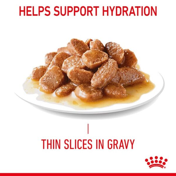 Care Urinary Gravy Adult Cat Food Pouch 85g x 12 - Image 6