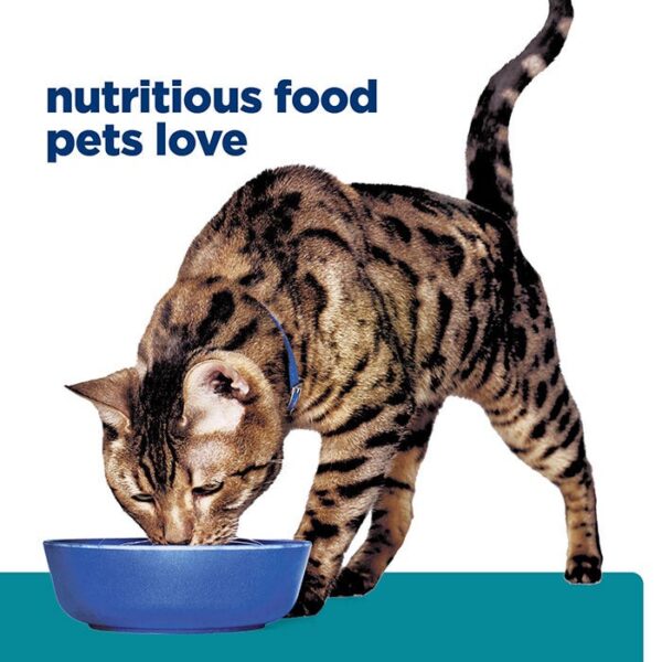 T/D Dental Care Adult Cat Food 3kg x 3 - Image 11