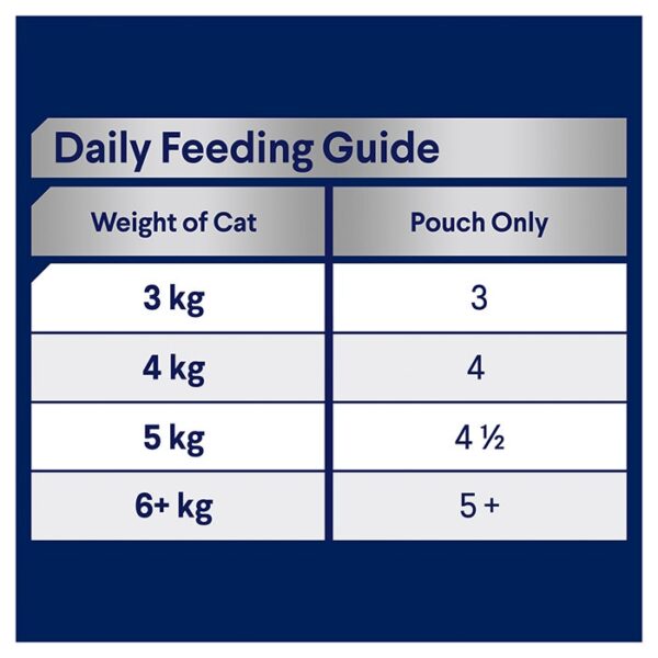 Adult Healthy Ageing Wet Cat Food with Ocean Fish in Jelly 12x85g Pouches - Image 6