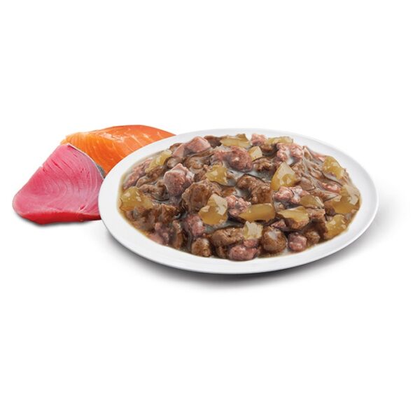 Adult Healthy Ageing Wet Cat Food with Ocean Fish in Jelly 12x85g Pouches - Image 4
