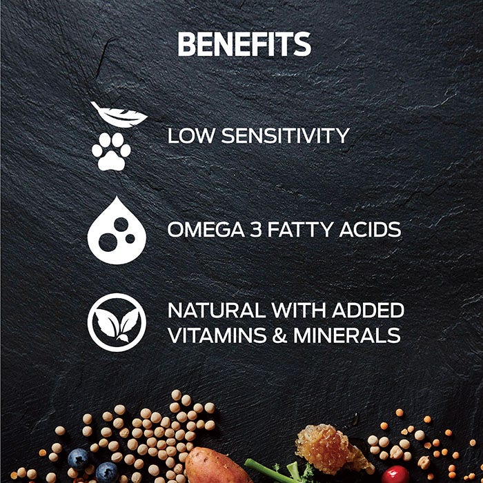 Salmon Superfood Adult Dog Food - Image 2