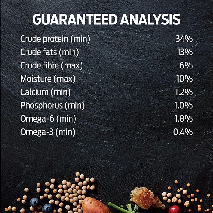 Salmon Superfood Adult Dog Food - Image 5