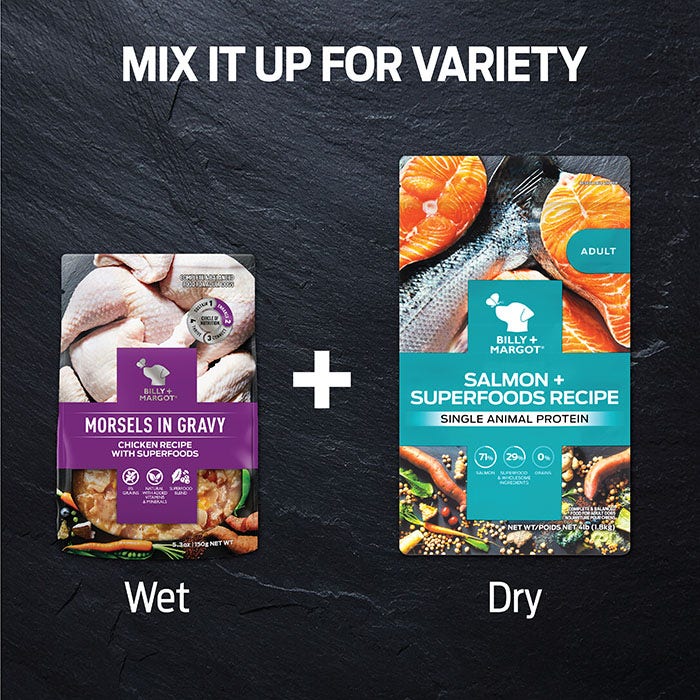 Salmon Superfood Adult Dog Food - Image 6