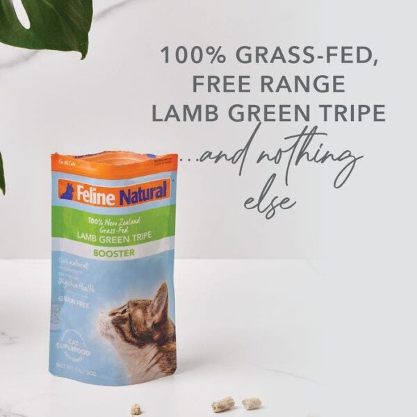 Freeze Dried Lamb Hydration Tripe Cat Food 57g - Image 3