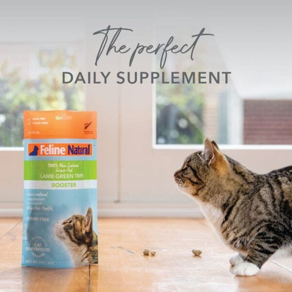 Freeze Dried Lamb Hydration Tripe Cat Food 57g - Image 5