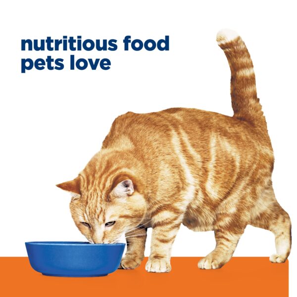 C/D Urinary Multicare Chicken Cat Wet Food Can 156g x 24 - Image 4