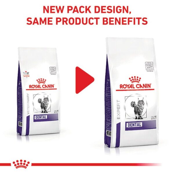 Royal Canin Veterinary Dental Adult Cat Food - Image 2