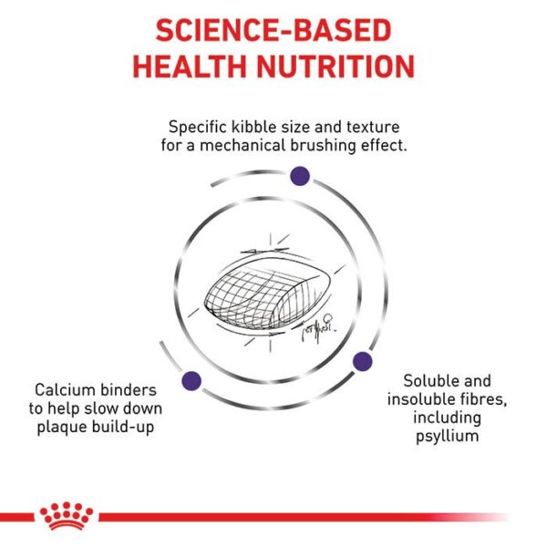 Royal Canin Veterinary Dental Adult Cat Food - Image 3
