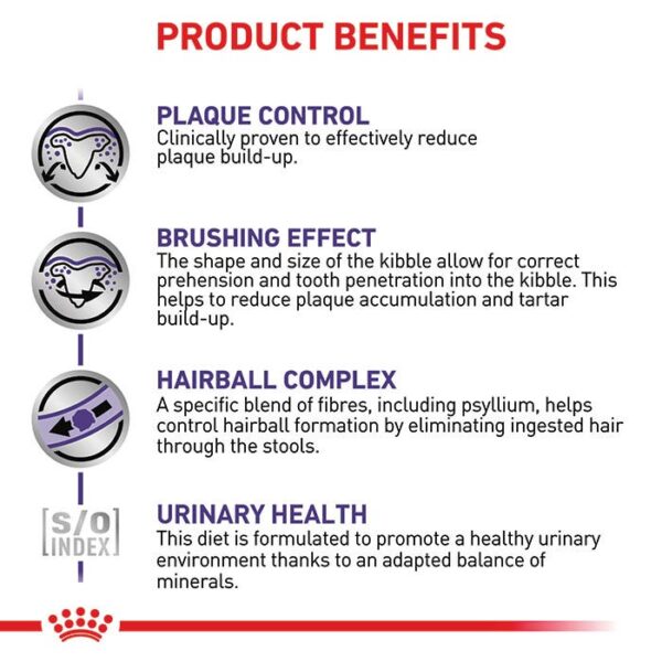Royal Canin Veterinary Dental Adult Cat Food - Image 4