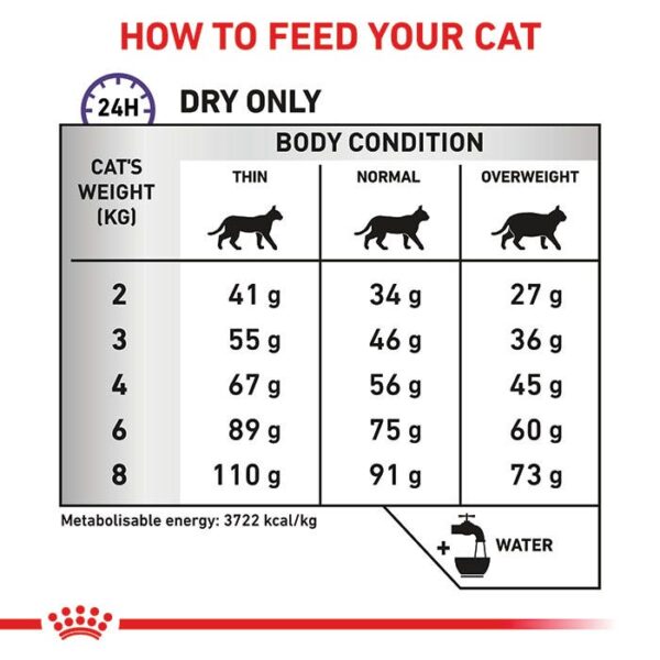 Royal Canin Veterinary Dental Adult Cat Food - Image 6