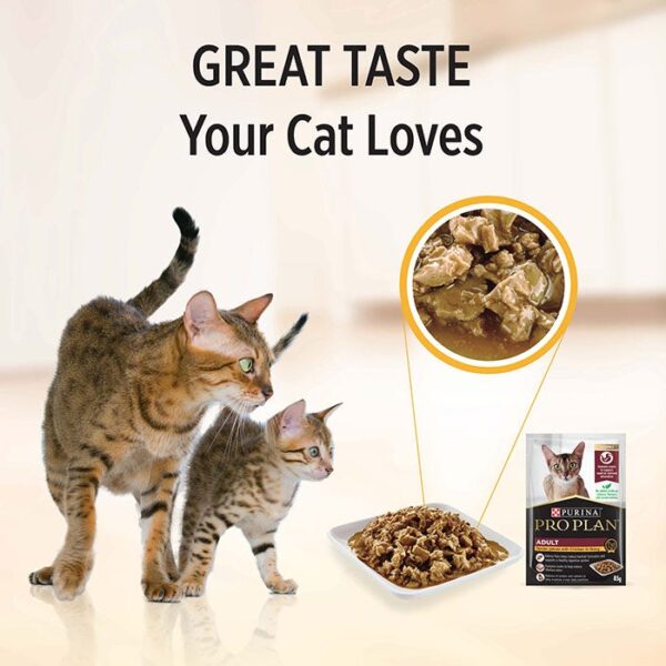 Chicken Adult Cat Pouch 85g x 12 - Image 5