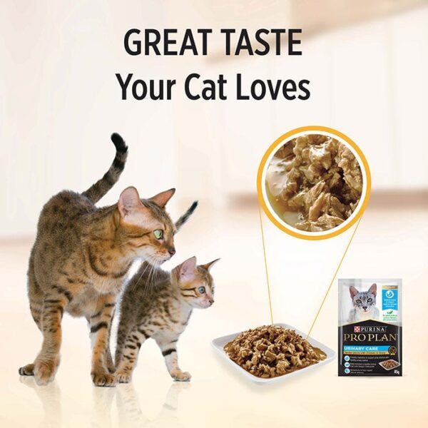UTH Chicken Adult Cat Pouch 85g x 12 - Image 5