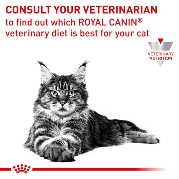 Sensitivity Control Cat Wet Food Pouch 85g x 12 - Image 5