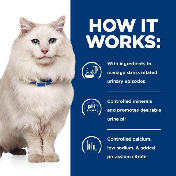 C/D Urinary Multi Stress Cat Wet Food Can 82g x 24 - Image 12