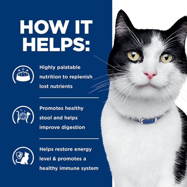 I/D Digestive Care Chicken Cat Wet Food Can 82g x 24 - Image 6