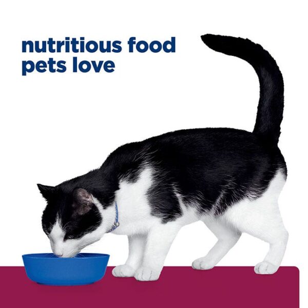 I/D Digestive Care Chicken Cat Wet Food Can 82g x 24 - Image 10