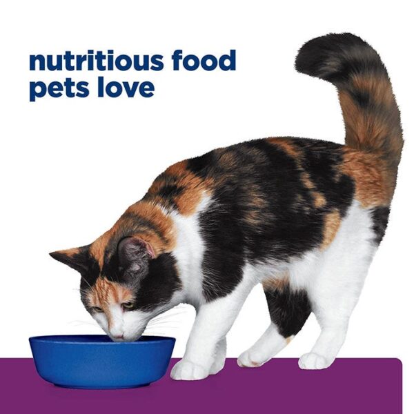 Y/D Thyroid Care Chicken Adult Cat Wet Food Can 156g x 24 - Image 11