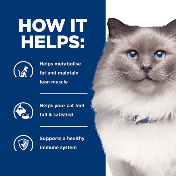 r/d Weight Loss Dry Cat Food 3.9kg - Image 4
