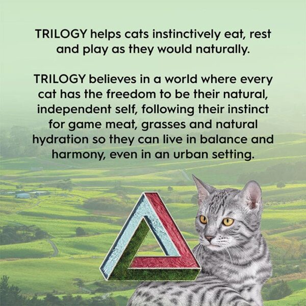 Freeze Dried Lamb Cat Treat 50g x 2 - Image 7