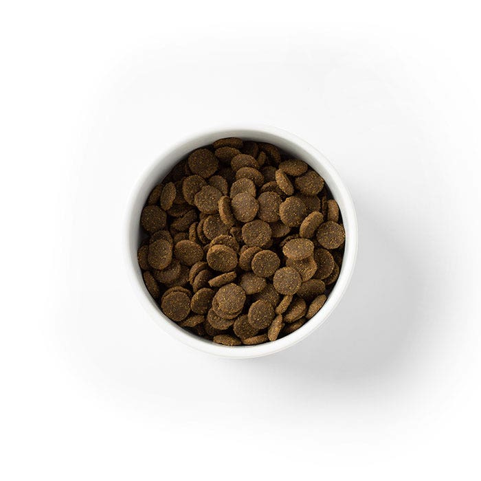 Grain Free Salm and Fish Large Adt Dog Food 15kg - Image 4