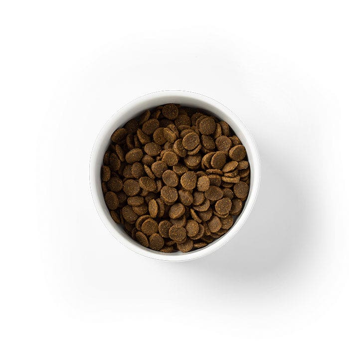 Grain Free Chicken Large Breed Puppy Food 15kg - Image 2