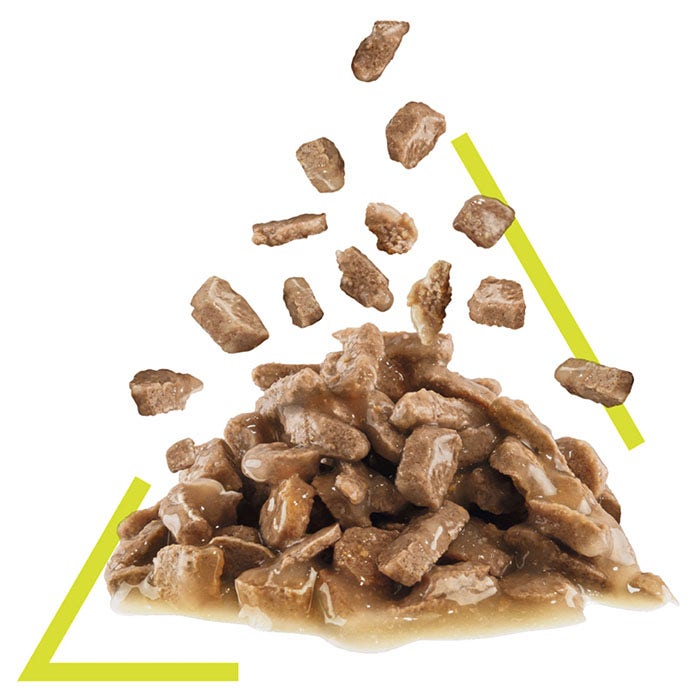 Sensory Smell Gravy Adult Cat Food Pouches 85g 12pk - Image 3