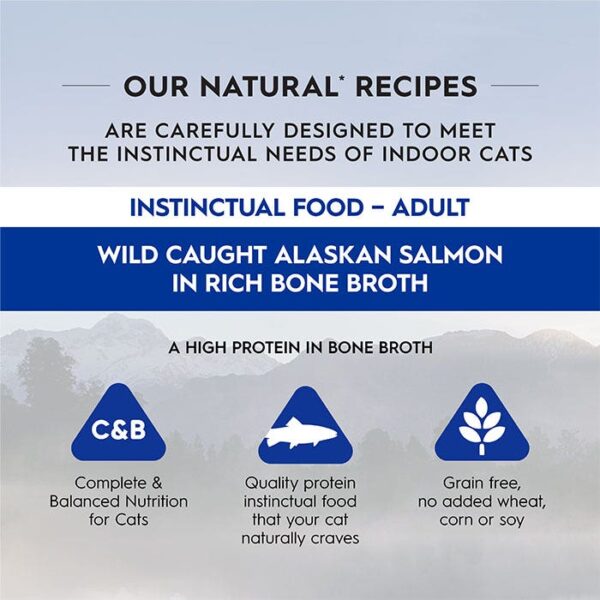 Salmon in Bone Broth Cat Can 85g x 24 - Image 3