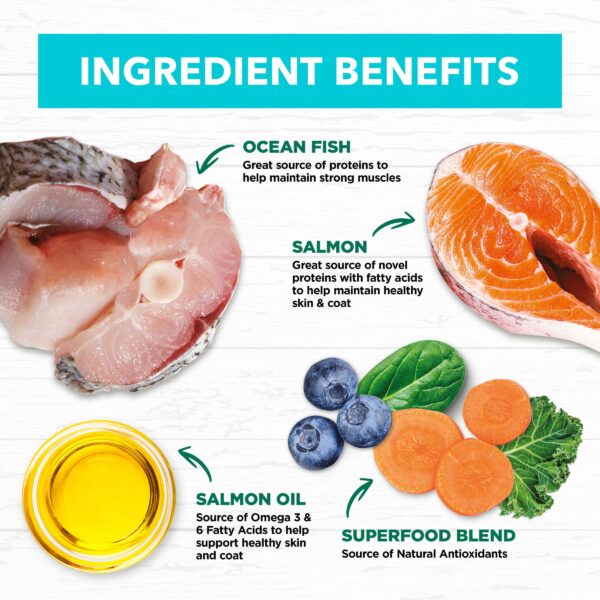 Grain Free Ocean Fish & Salmon Kitten Food 2kg x 2 - Image 3