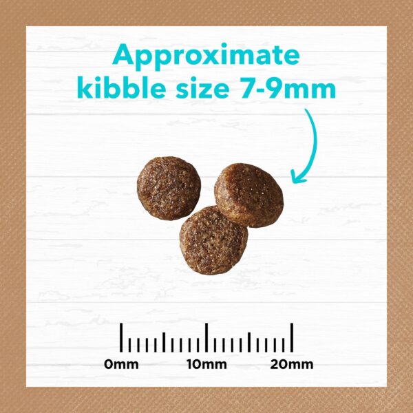 Grain Free Ocean Fish & Salmon Kitten Food 2kg x 2 - Image 7