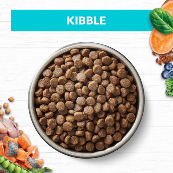 Grain Free Ocean Fish & Salmon Kitten Food 2kg x 2 - Image 6