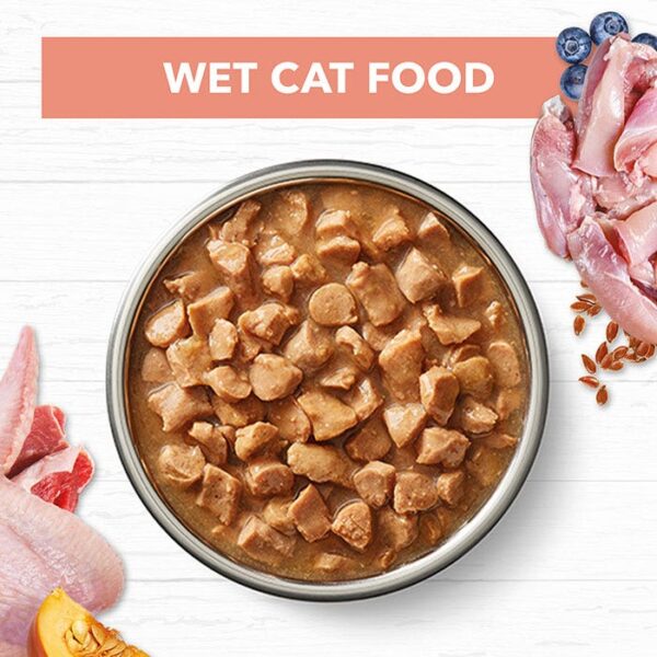 Grain Free Chicken & Beef Kitten Food Pouch 85g x 12 - Image 4