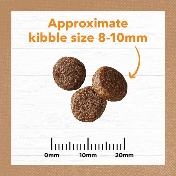 Chicken Cat Dry Food 2kg x 2 - Image 8
