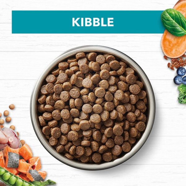 Oceanfish & Salmon Cat Food 2kg x 2 - Image 7