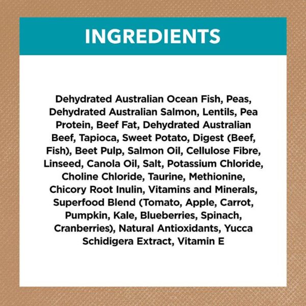 Oceanfish & Salmon Cat Food 2kg x 2 - Image 10