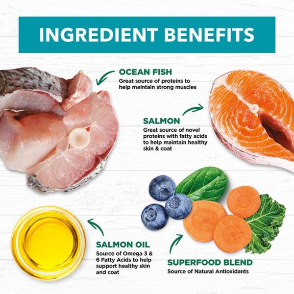 Oceanfish & Salmon Cat Food 2kg x 2 - Image 4
