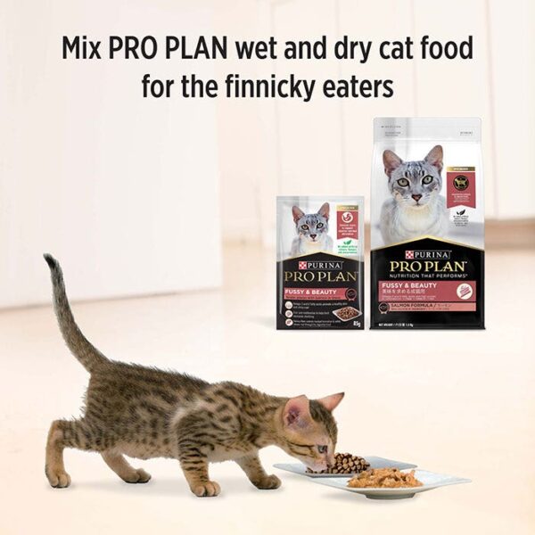 Fussy & Beauty Adult Cat Food Pouch 85g x 12 - Image 8