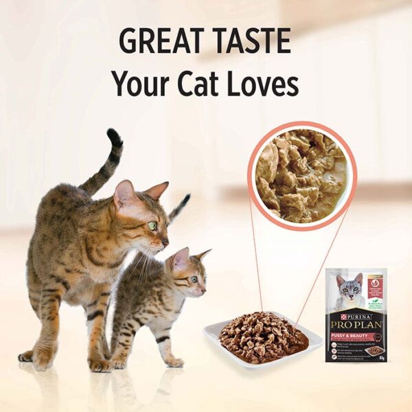 Fussy & Beauty Adult Cat Food Pouch 85g x 12 - Image 4