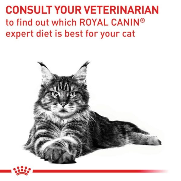Calm Adult Cat Food - Image 7