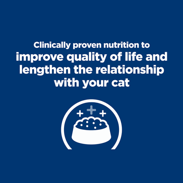 K/D Kidney Care Salmon Cat Wet Food Pouch 85g x 12 - Image 4